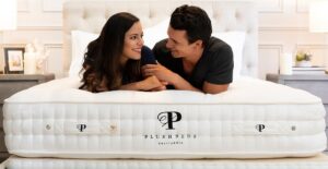 Reviews For Plushbeds Luxury Innerspring Mattress