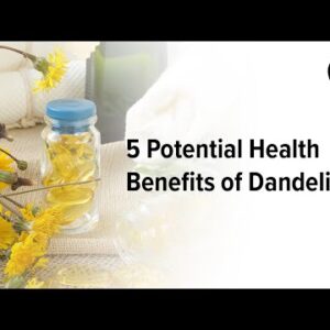 5 Potential Health Benefits of Dandelion | Healthline