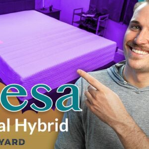 Leesa Original Hybrid Mattress Review | Reason To Buy/NOT Buy (UPDATED 2023)